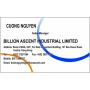 Logo Billion Ascent Industrial Limited