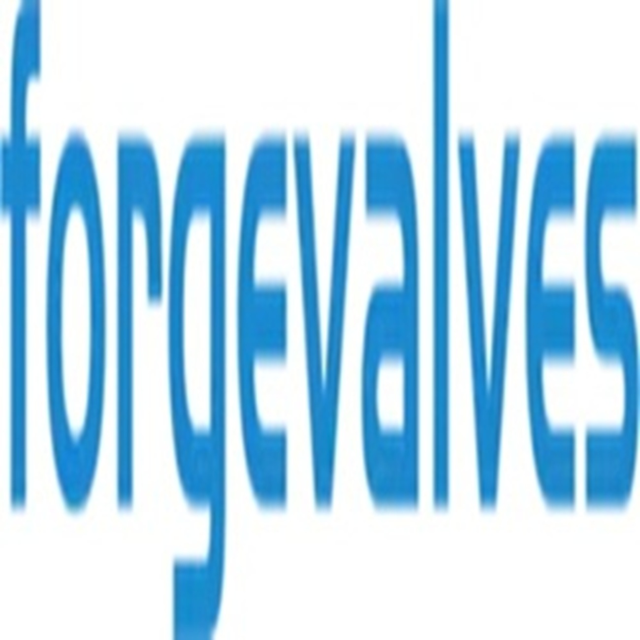 Logo China Forged Valves Co., Ltd.