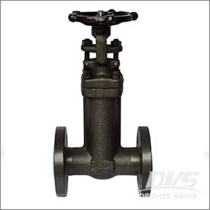Forged Bellow Seal Gate Valve, A105N, CL150-600 1/2-4 Inch, 