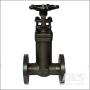 Forged Bellow Seal Gate Valve, A105N, CL150-600 1/2-4 Inch, 