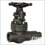 Extended Body Gate Valve, A105N, 1 Inch, Class 800, Male NPT